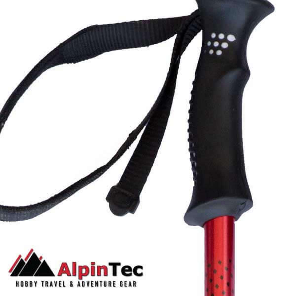 AlpinPro Τηλεσκοπικά Μπατόν Ορειβασίας Αλουμινίου 2τμχ Κόκκινα A6RD