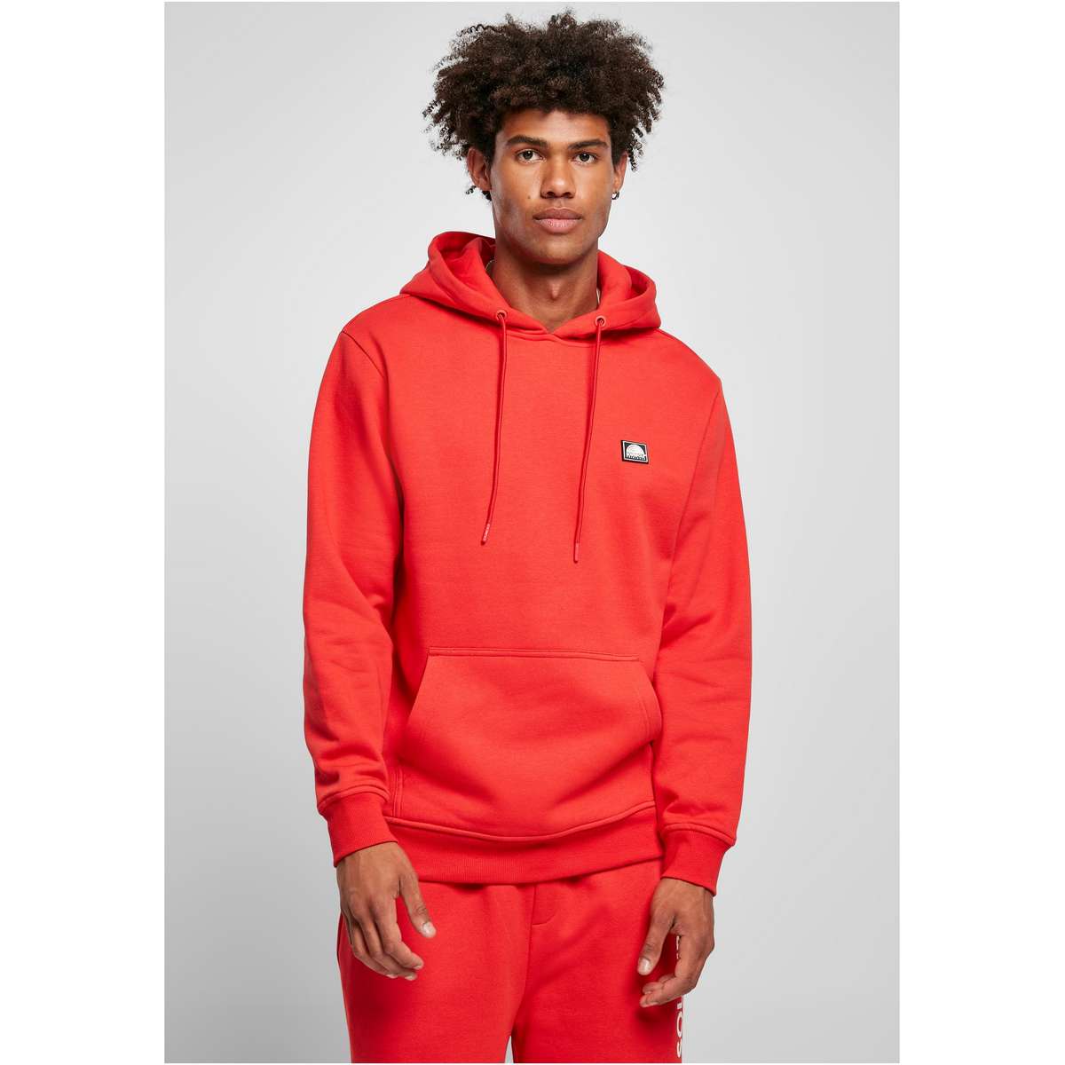 SOUTHPOLE SQUARE LOGO HOODY SP191 SOUTHPOLERED